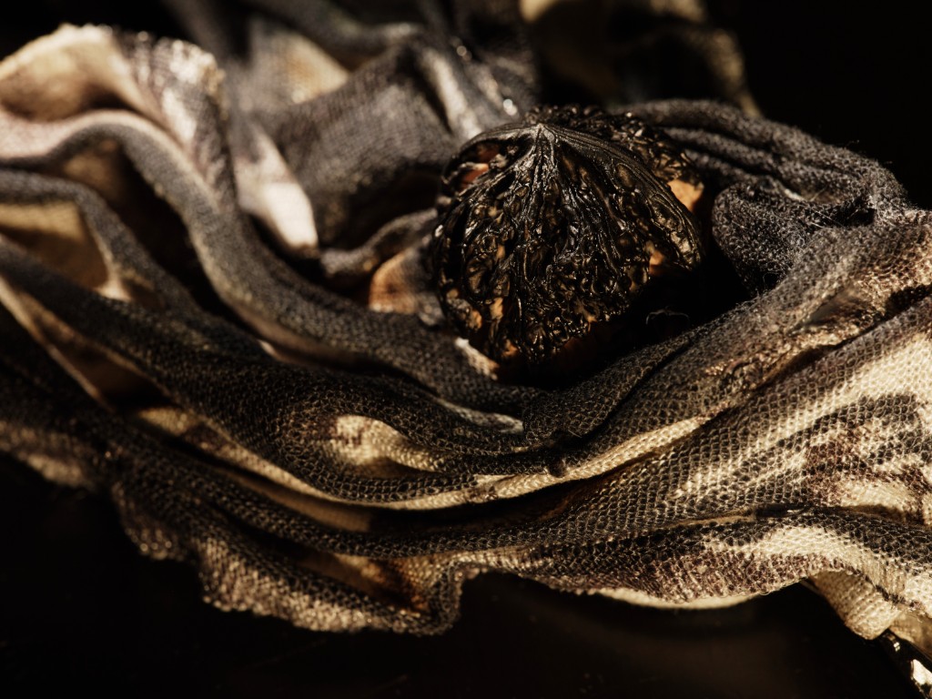 Corona spinosa — a dark crown resting on scaled cloth