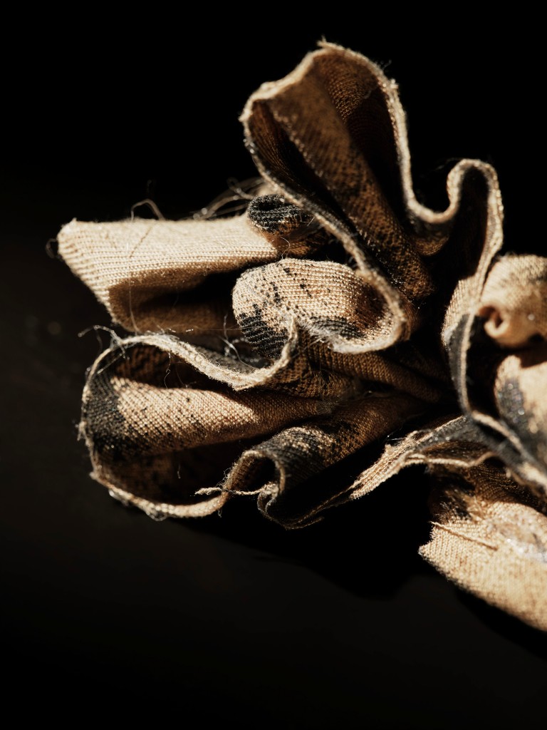Pacchetto di testi — close study of the folded linen