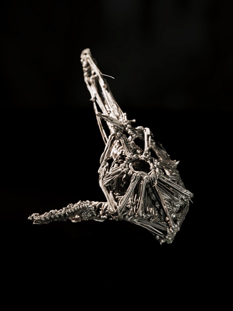 Sacco di latta — a metal insect with feather-like ribs
